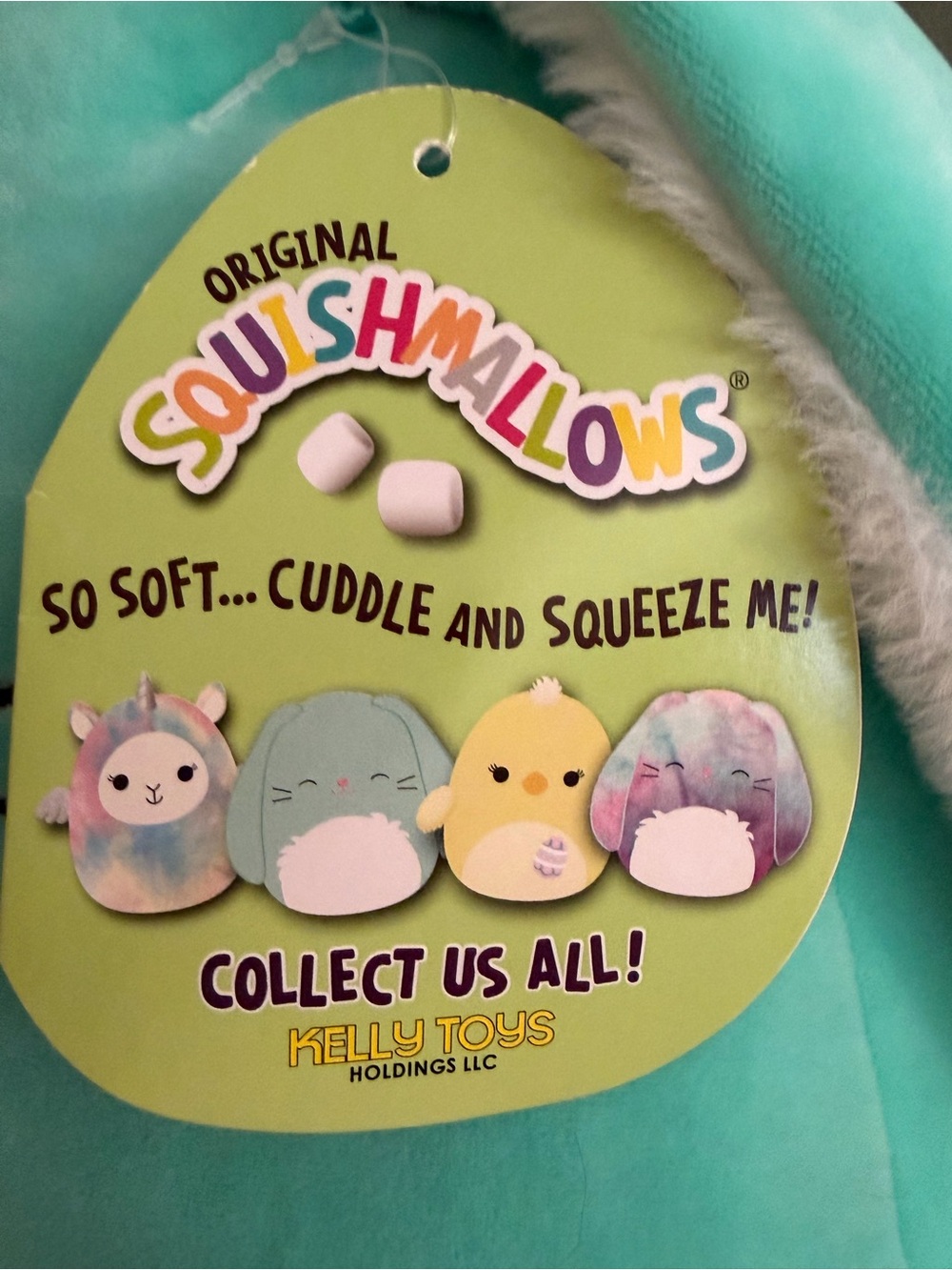 Squishmallows 12” Sammy Mint Bunny Rabbit with Fuzzy Tummy Ears NWT - Picture 3 of 8